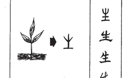 益安宁丸禁忌说明-【益安宁丸不能随便吃】益安宁丸最忌三种药 - 益安宁丸的禁忌症网